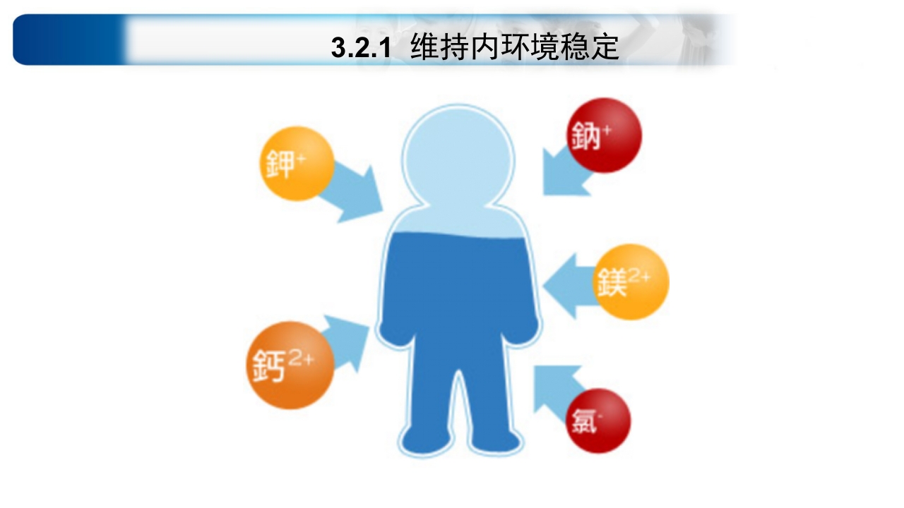 心源性休克诊治思路与进展ppt课件42