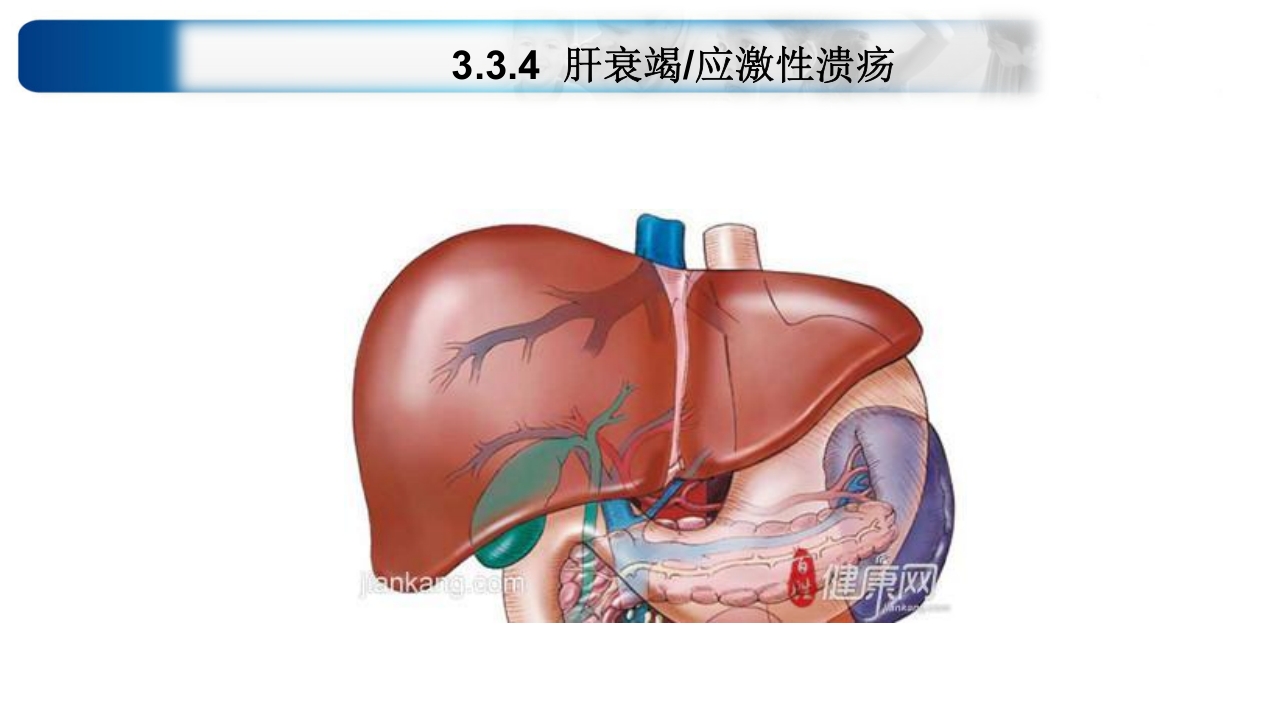 心源性休克诊治思路与进展ppt课件47