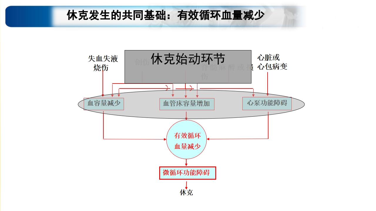 心源性休克诊治思路与进展ppt课件4
