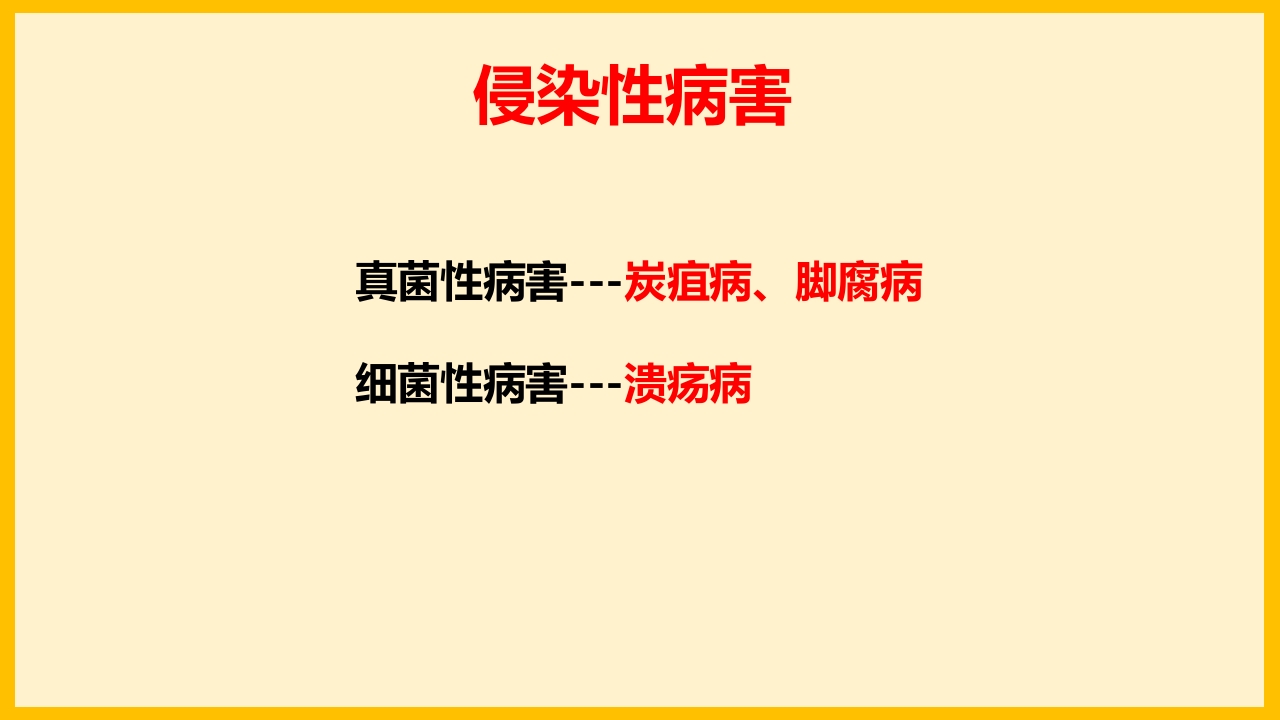 脐橙常见病虫害防治介绍PPT课件16