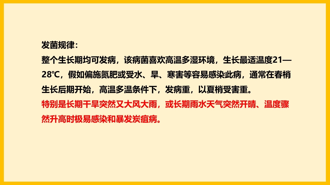 脐橙常见病虫害防治介绍PPT课件19