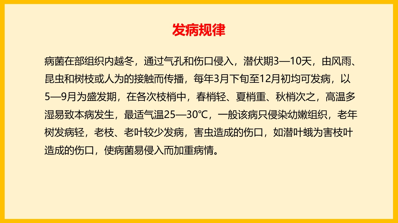 脐橙常见病虫害防治介绍PPT课件26
