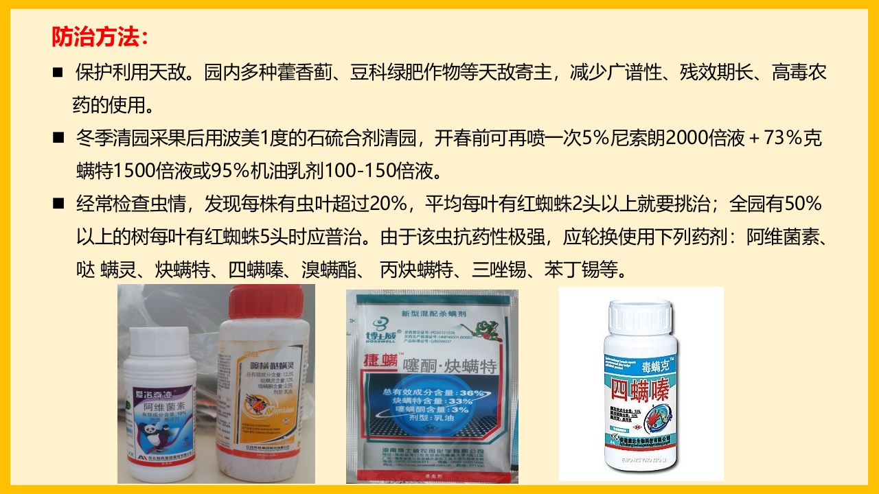 脐橙常见病虫害防治介绍PPT课件31