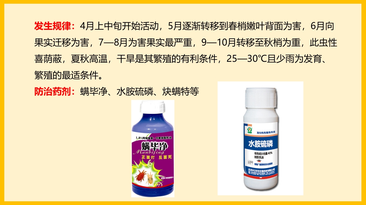 脐橙常见病虫害防治介绍PPT课件33