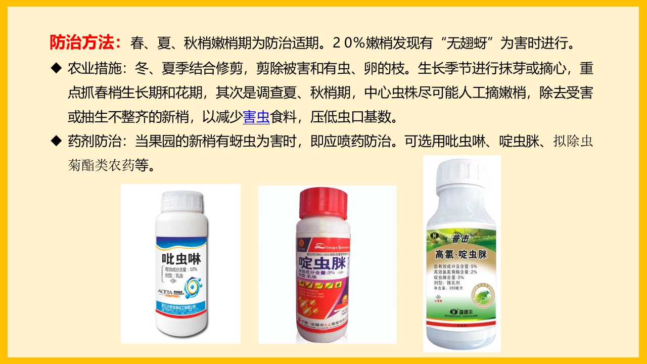 脐橙常见病虫害防治介绍PPT课件35
