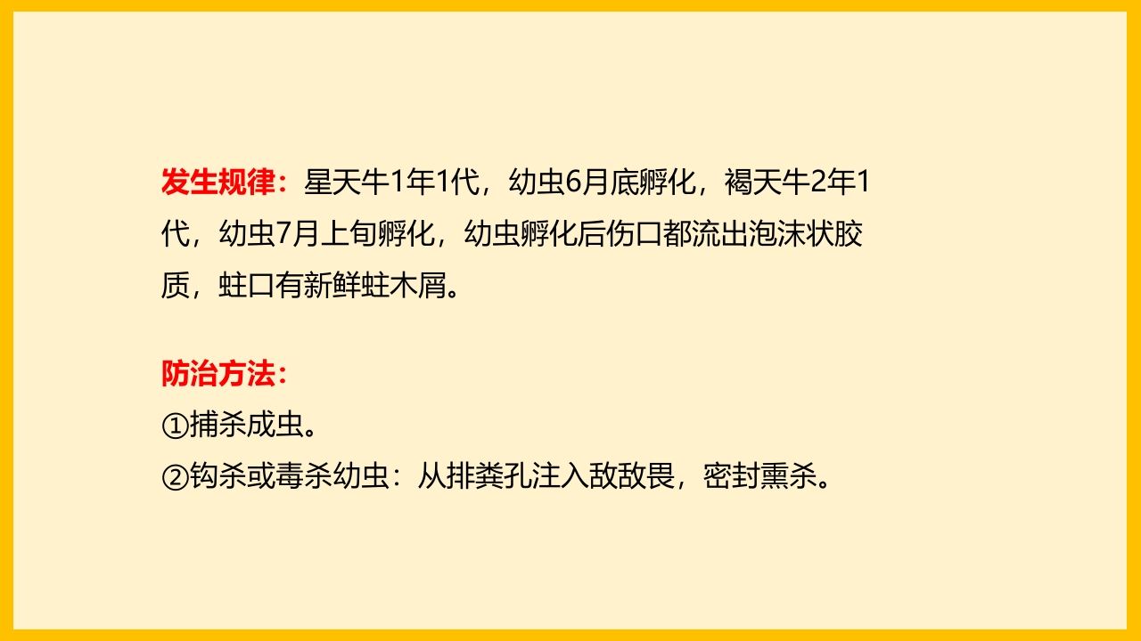 脐橙常见病虫害防治介绍PPT课件43