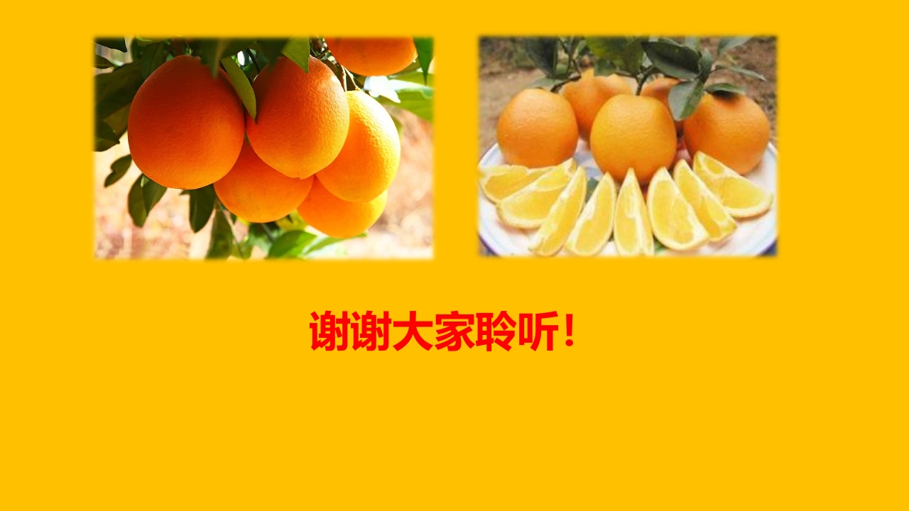 脐橙常见病虫害防治介绍PPT课件44