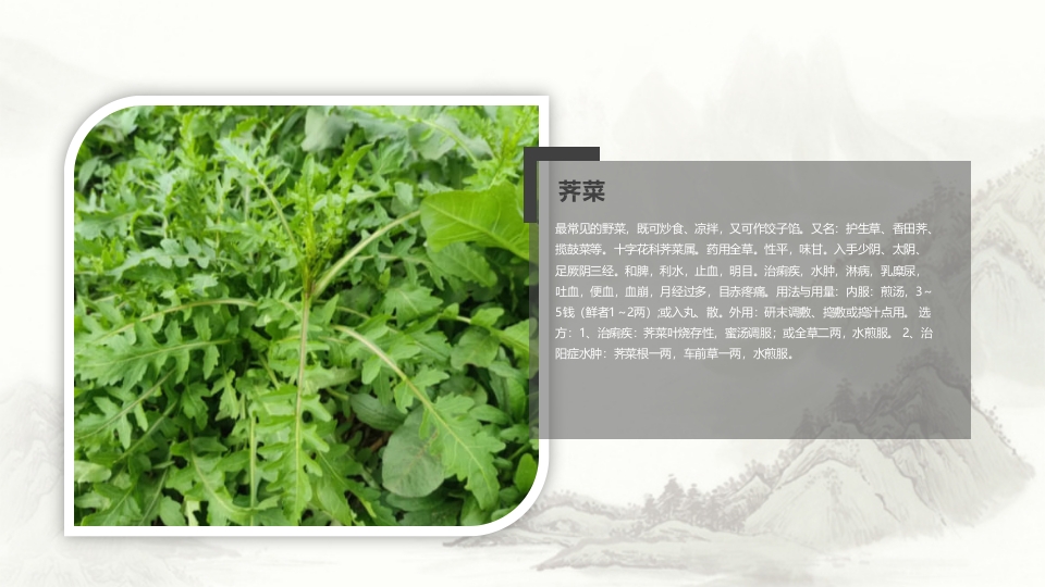 中草药介绍PPT课件14