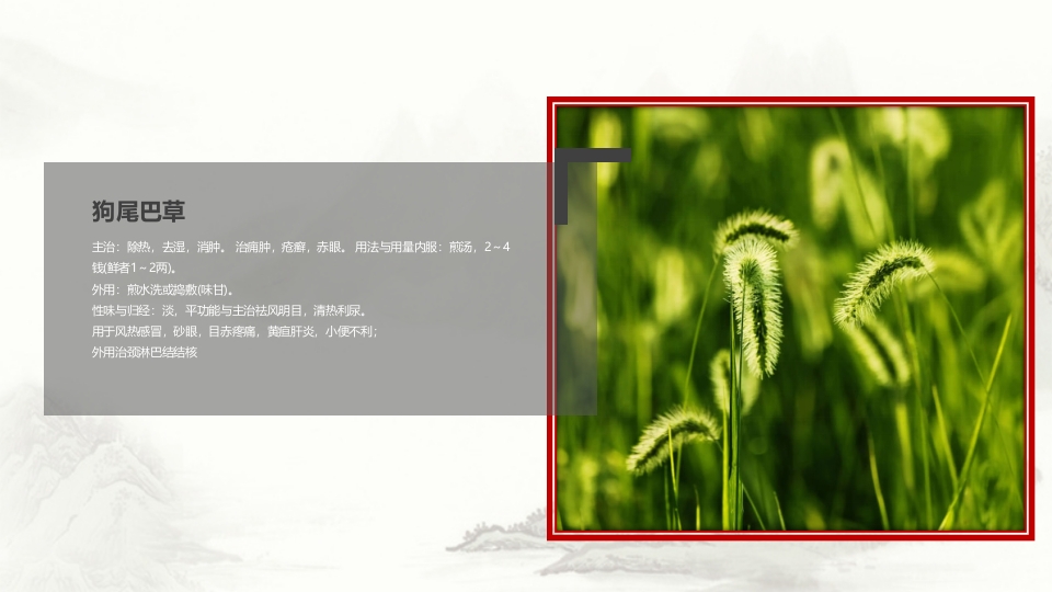 中草药介绍PPT课件20