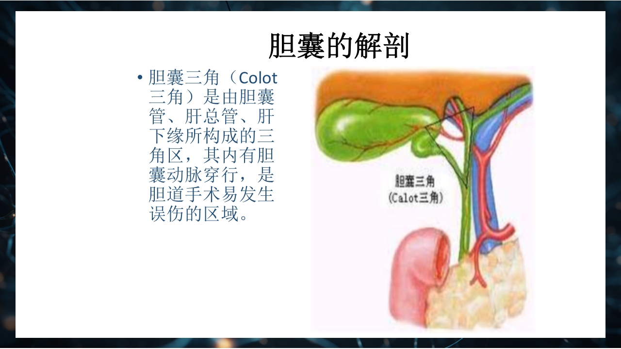 腹腔镜下胆囊切除术手术配合PPT课件4
