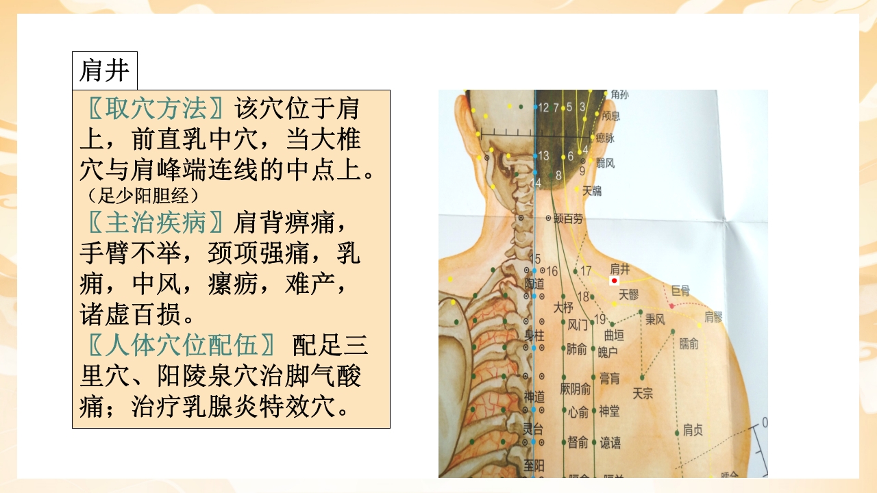 颈肩腰腿痛穴位讲解图PPT课件16