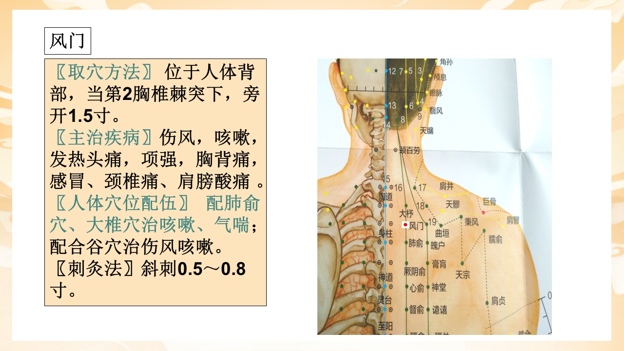 颈肩腰腿痛穴位讲解图PPT课件18