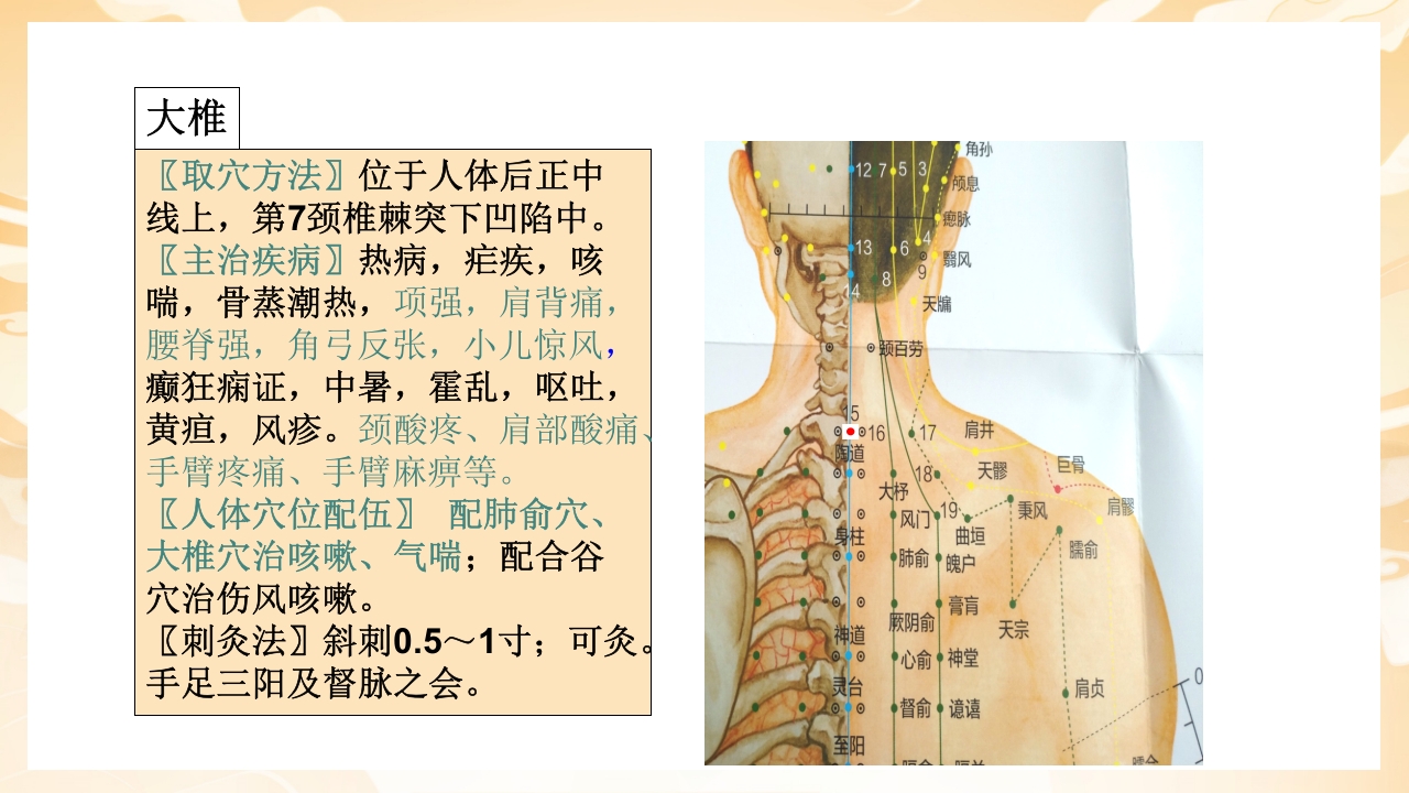 颈肩腰腿痛穴位讲解图PPT课件19