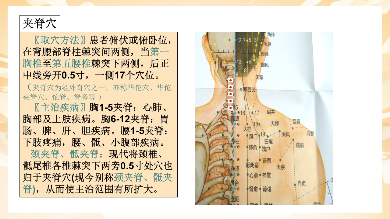 颈肩腰腿痛穴位讲解图PPT课件20
