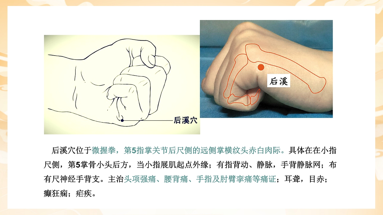 颈肩腰腿痛穴位讲解图PPT课件26