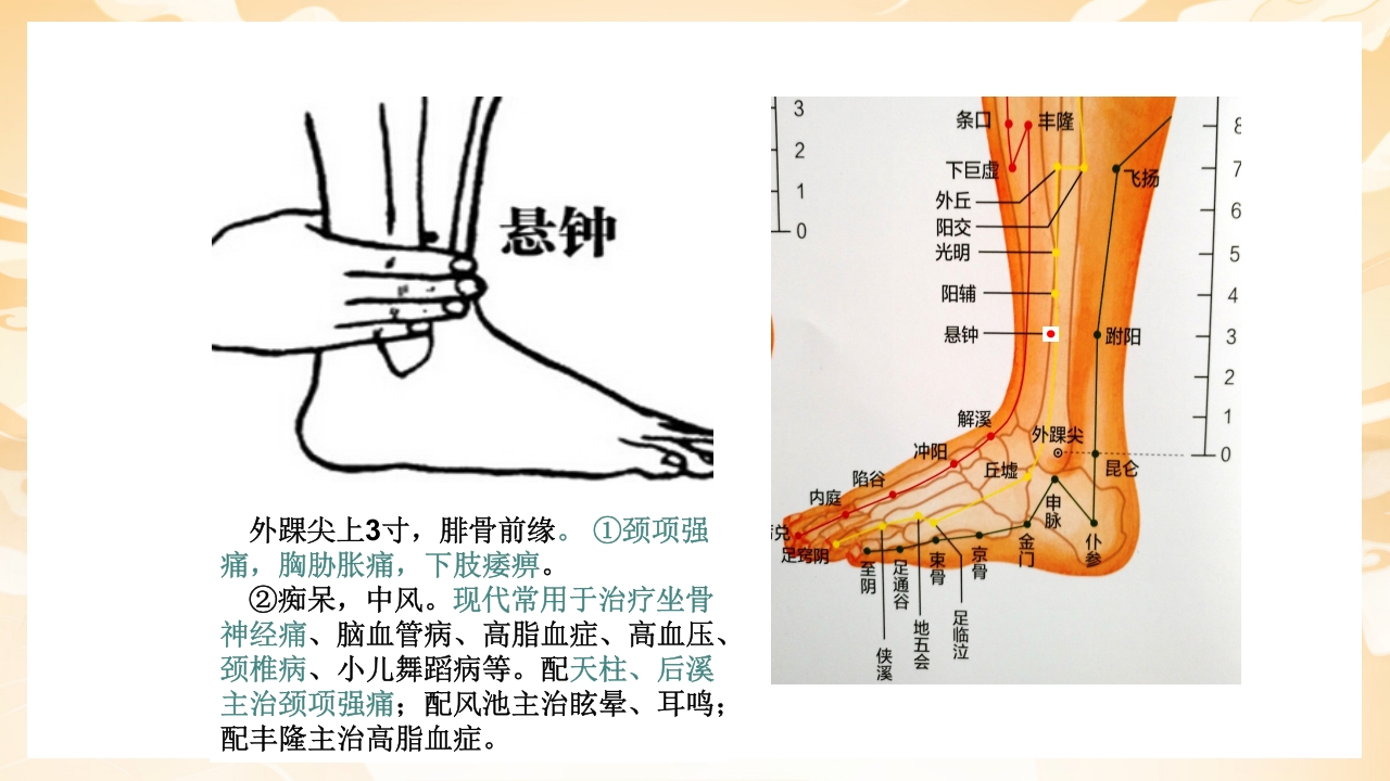 颈肩腰腿痛穴位讲解图PPT课件27