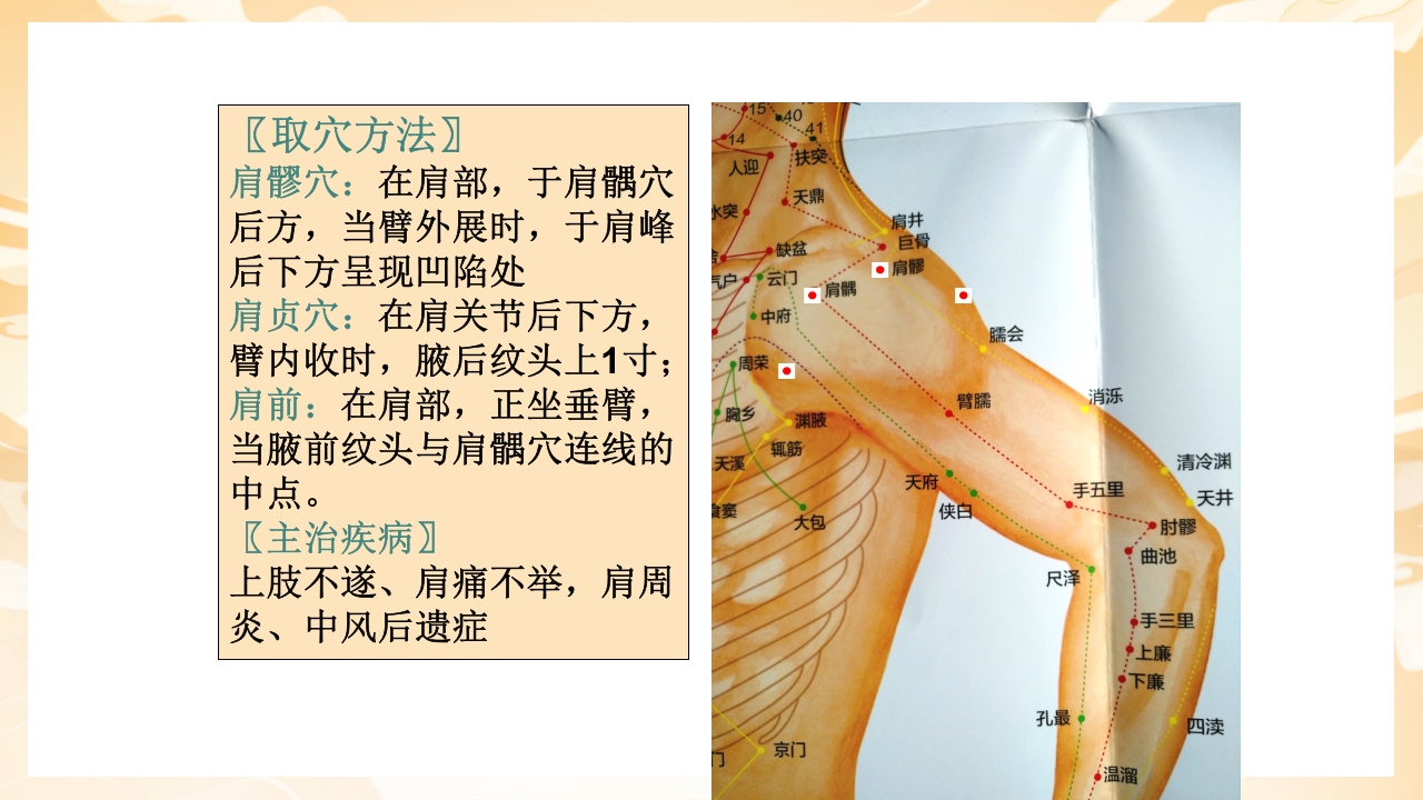 颈肩腰腿痛穴位讲解图PPT课件34