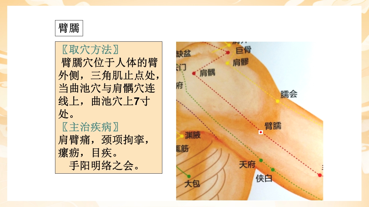 颈肩腰腿痛穴位讲解图PPT课件35