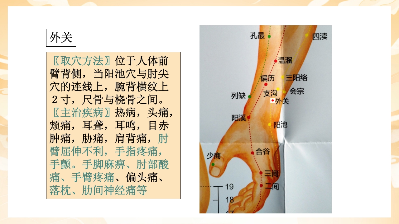 颈肩腰腿痛穴位讲解图PPT课件37