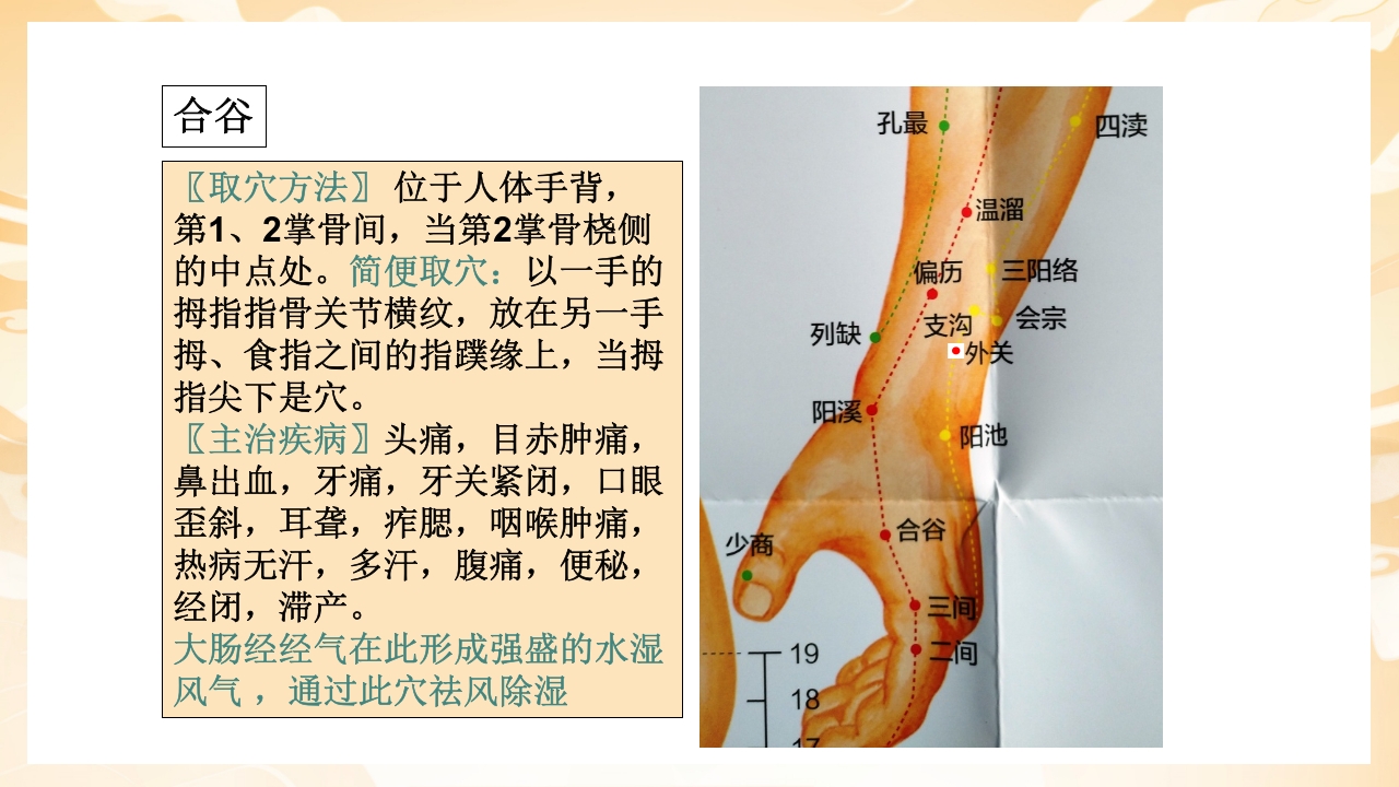 颈肩腰腿痛穴位讲解图PPT课件38