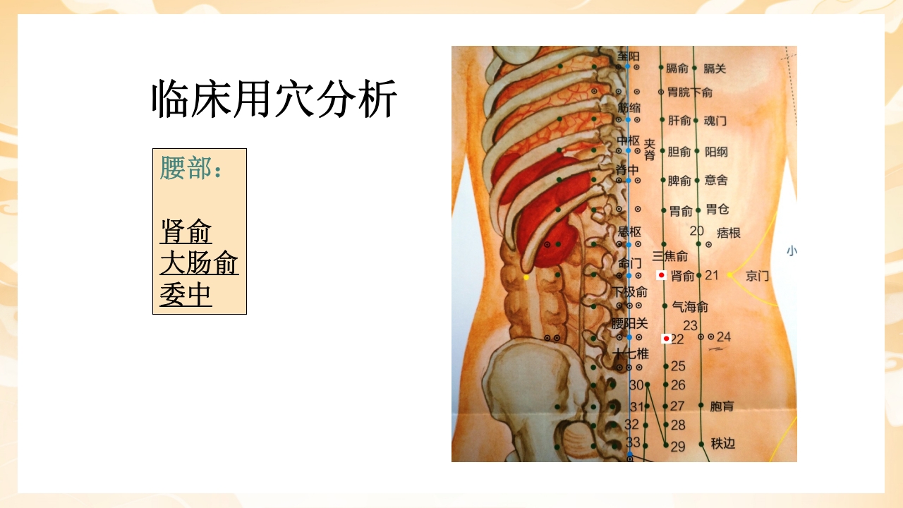 颈肩腰腿痛穴位讲解图PPT课件43