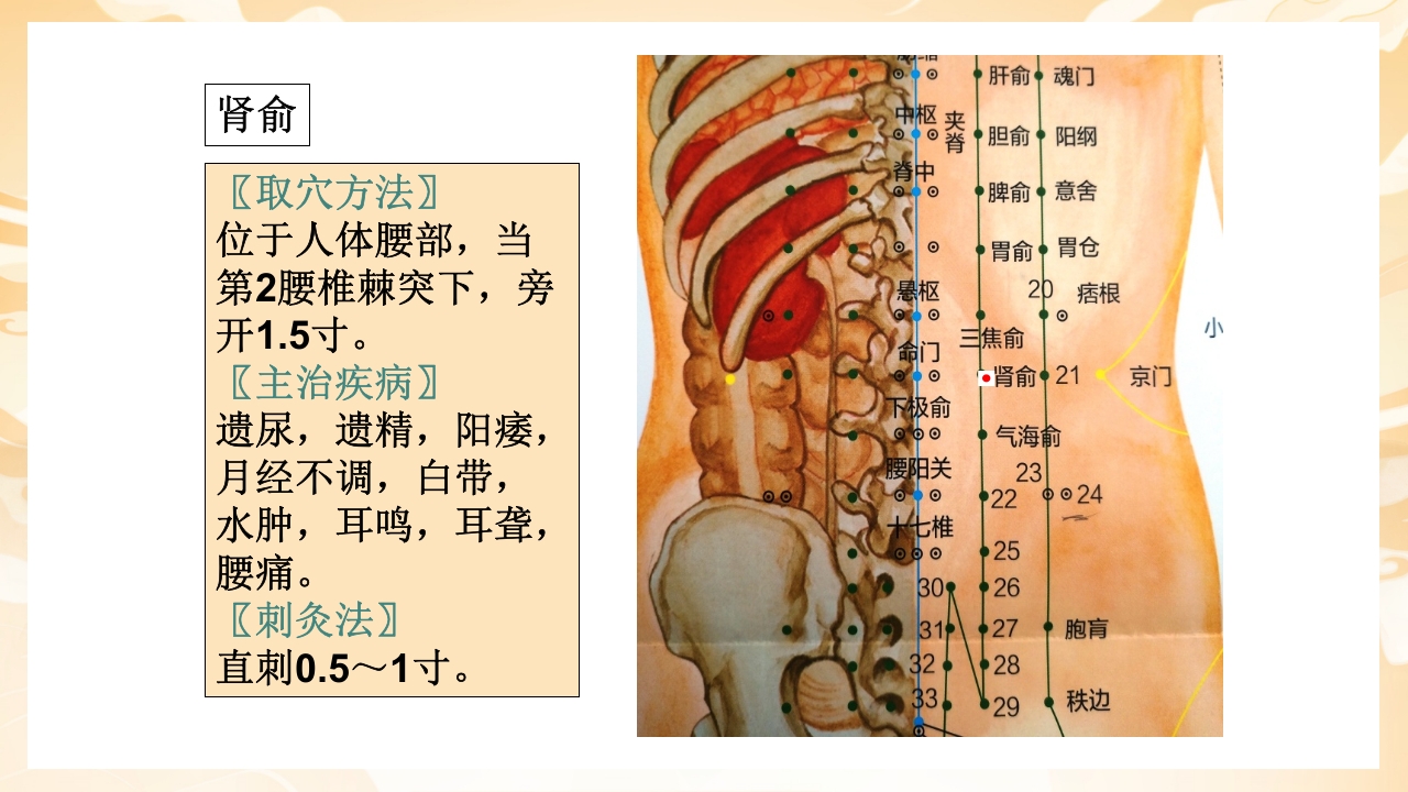 颈肩腰腿痛穴位讲解图PPT课件44