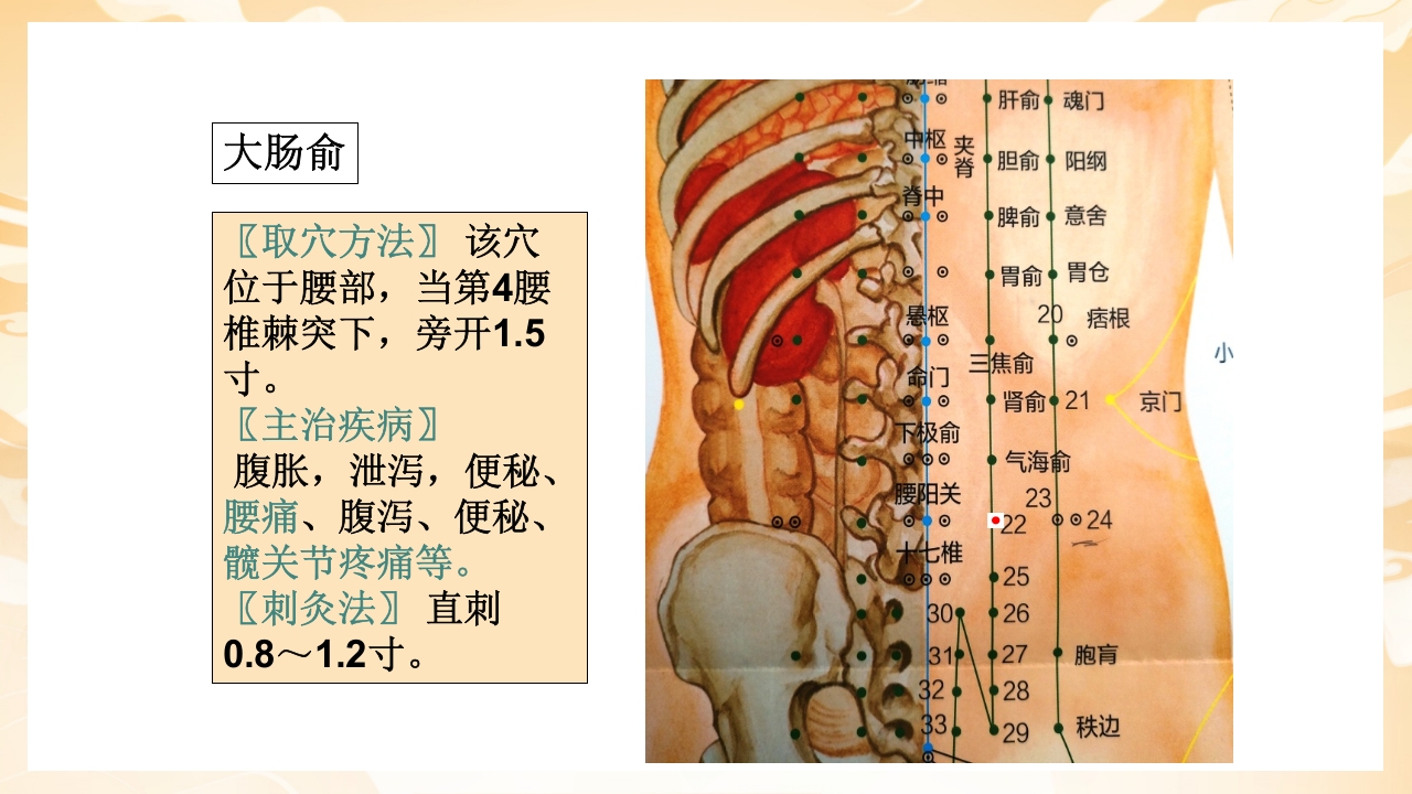 颈肩腰腿痛穴位讲解图PPT课件45