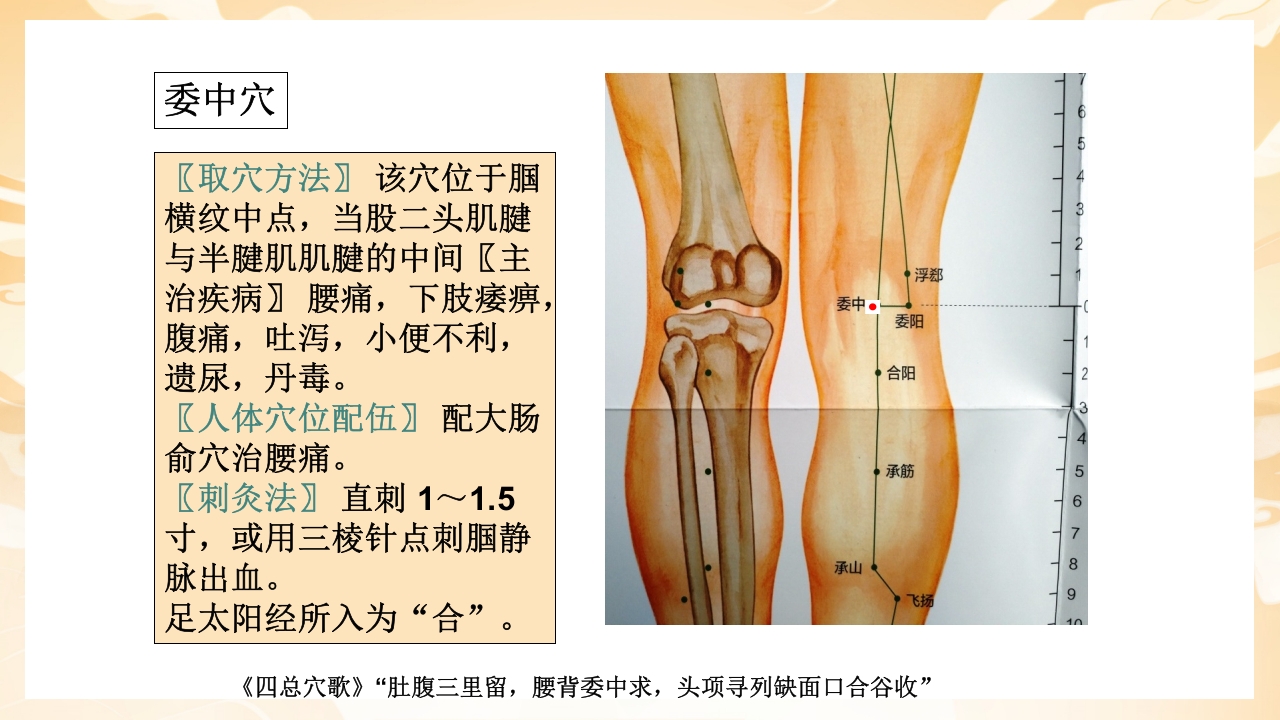 颈肩腰腿痛穴位讲解图PPT课件46