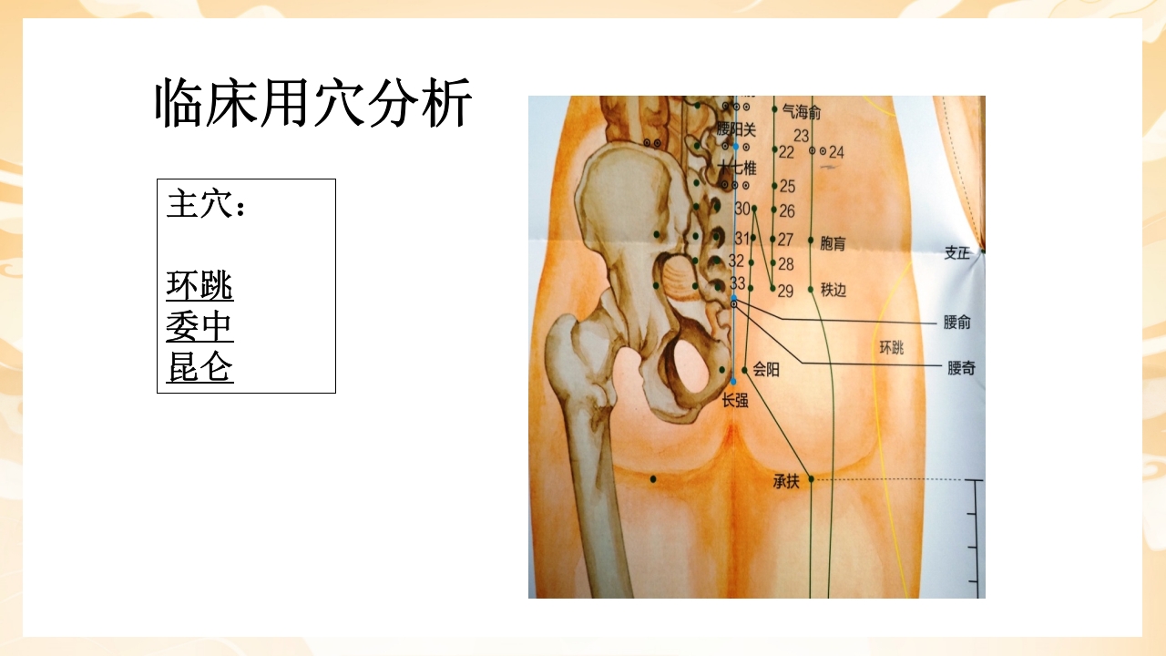 颈肩腰腿痛穴位讲解图PPT课件52