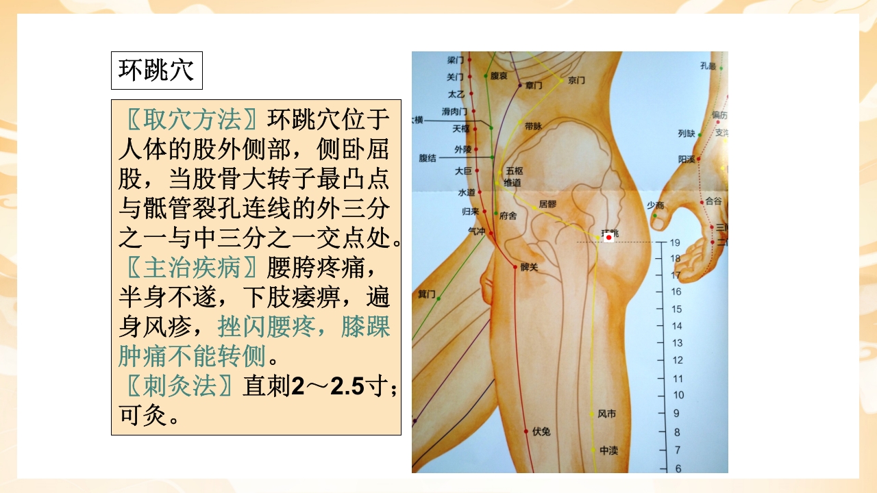 颈肩腰腿痛穴位讲解图PPT课件53