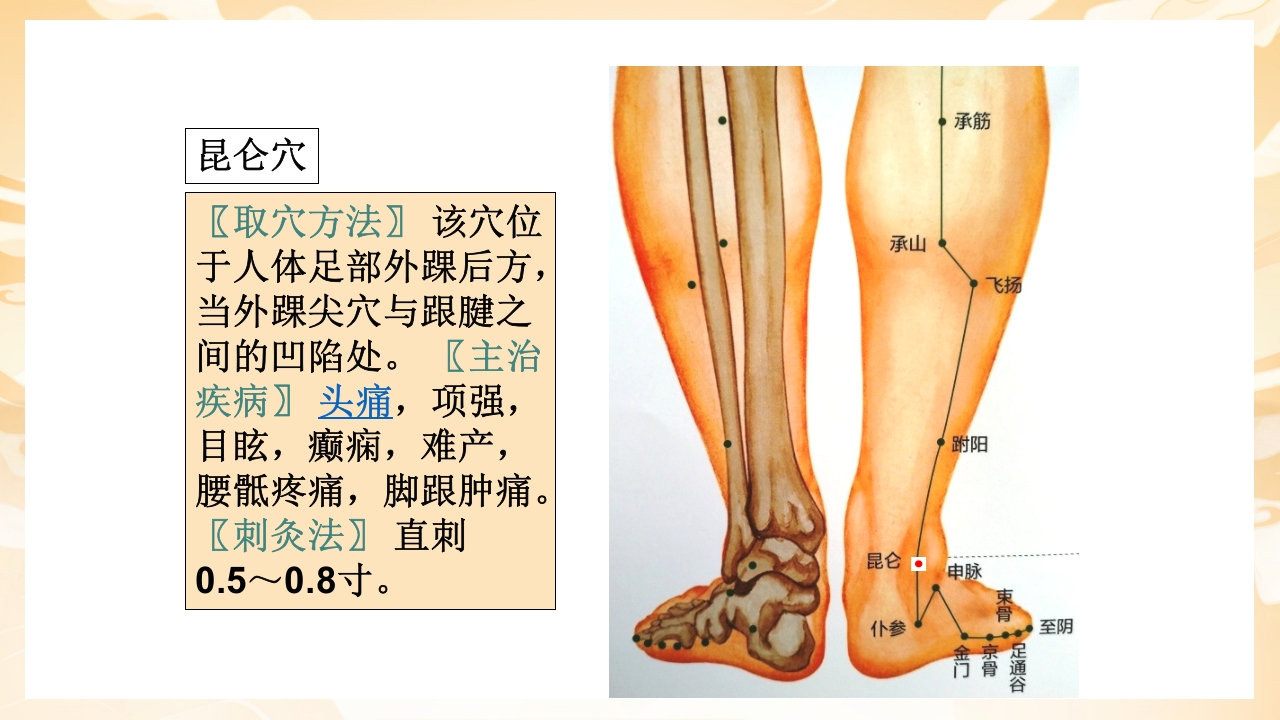 颈肩腰腿痛穴位讲解图PPT课件54