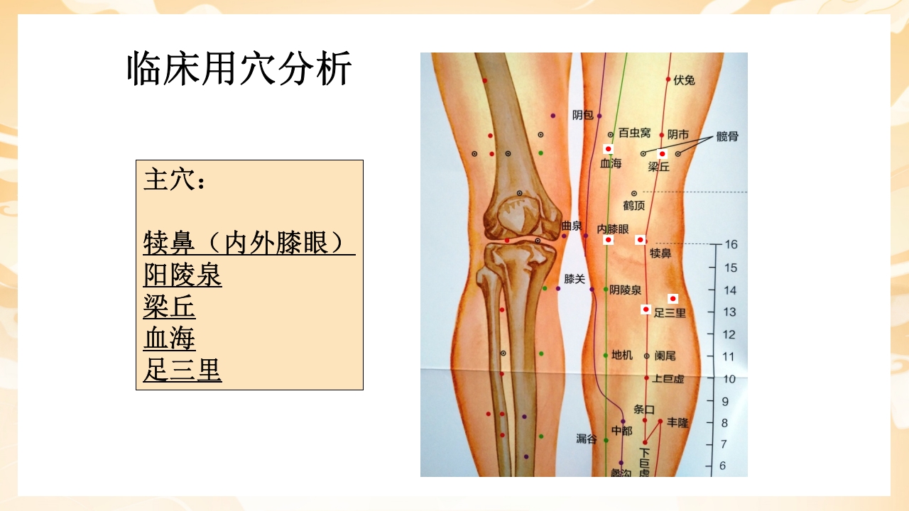 颈肩腰腿痛穴位讲解图PPT课件61