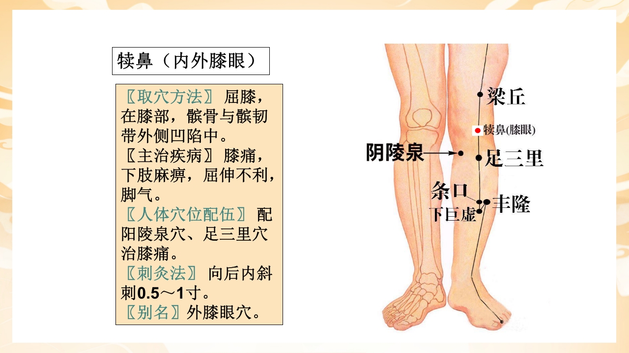 颈肩腰腿痛穴位讲解图PPT课件62