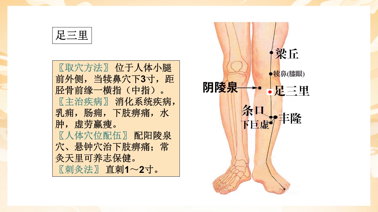 颈肩腰腿痛穴位讲解图PPT课件63