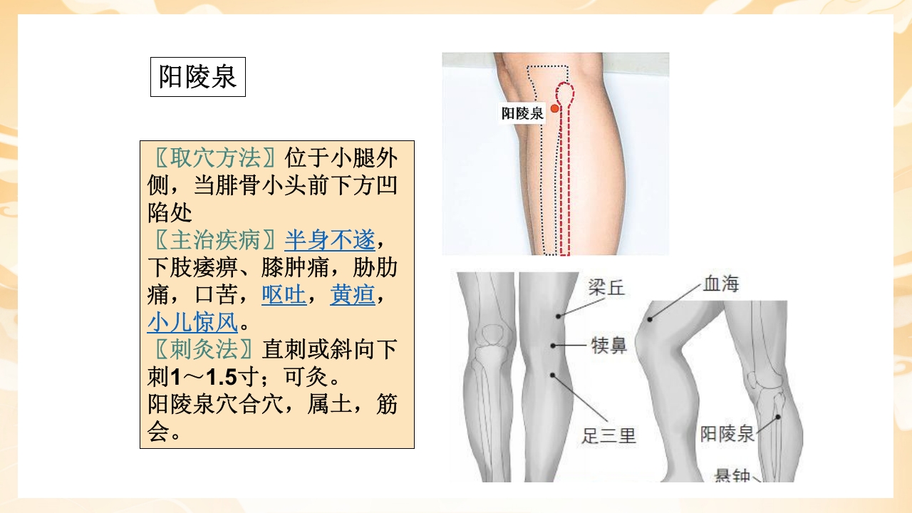 颈肩腰腿痛穴位讲解图PPT课件64