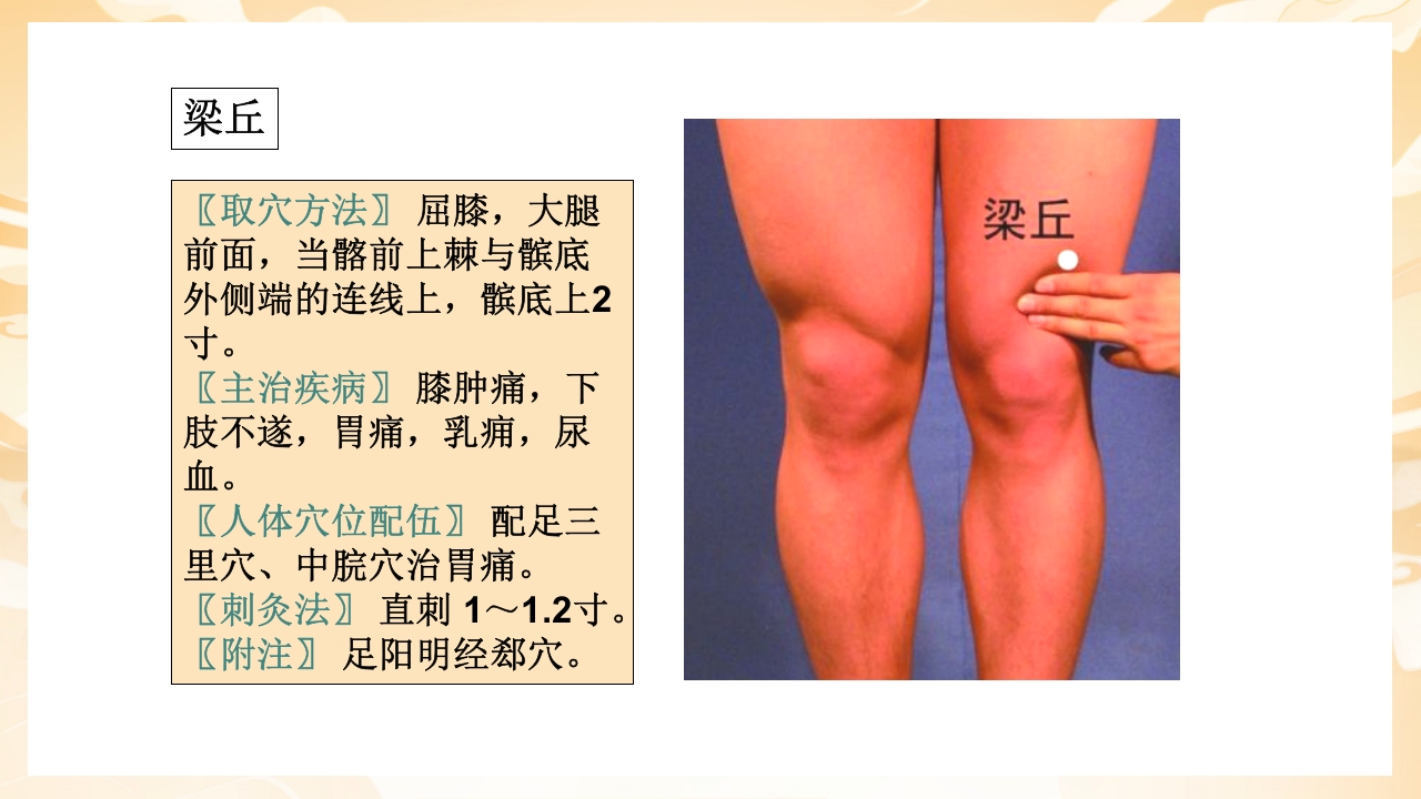 颈肩腰腿痛穴位讲解图PPT课件65