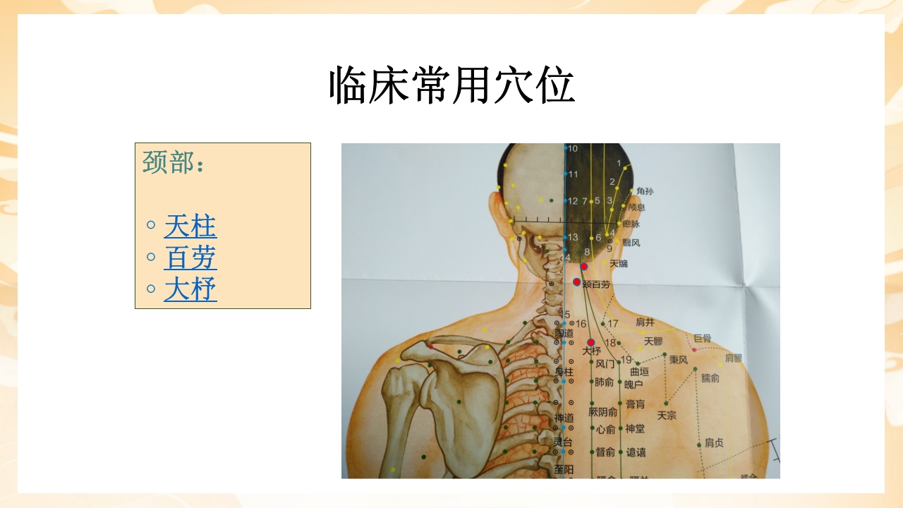 颈肩腰腿痛穴位讲解图PPT课件7