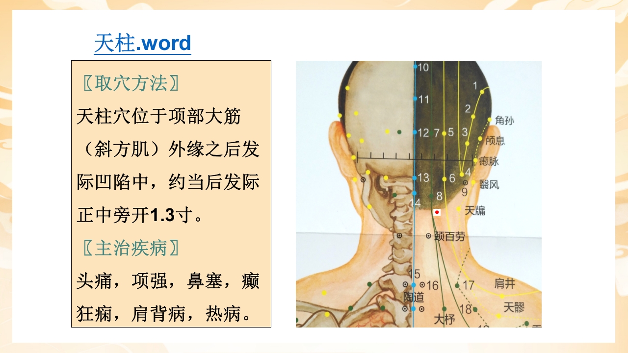 颈肩腰腿痛穴位讲解图PPT课件8