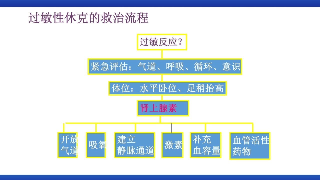 过敏性休克的识别及处理流程PPT课件18
