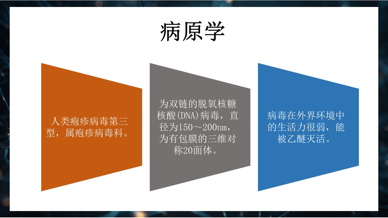 水痘PPT课件4