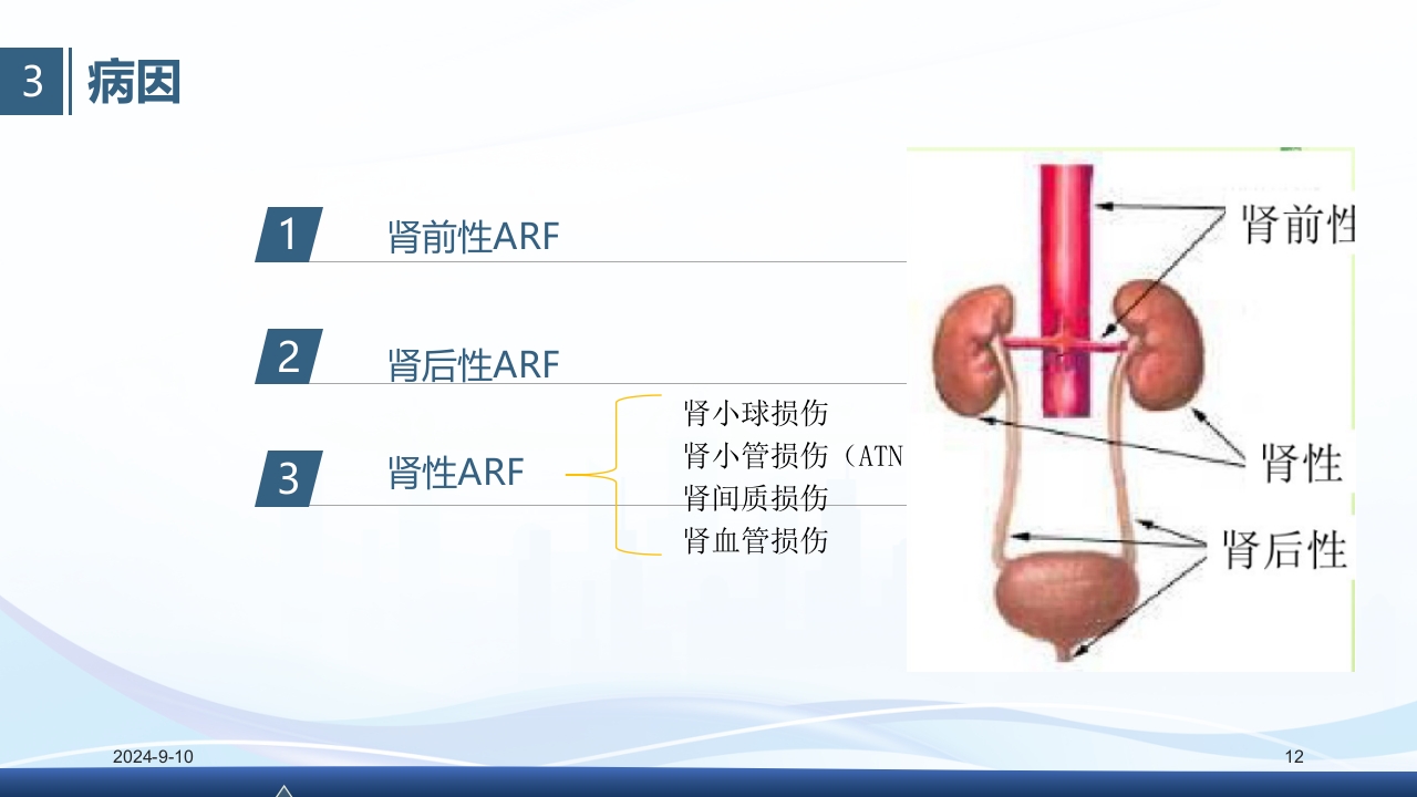 急性肾衰竭PPT课件12