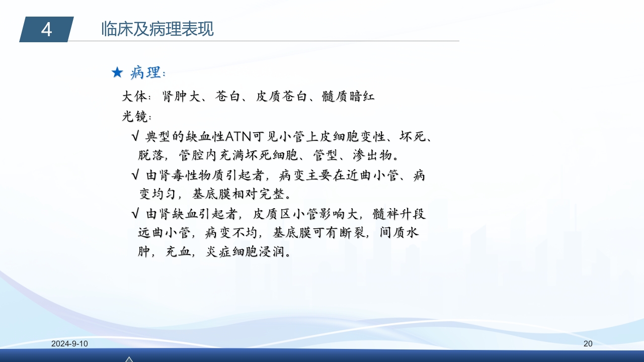 急性肾衰竭PPT课件20