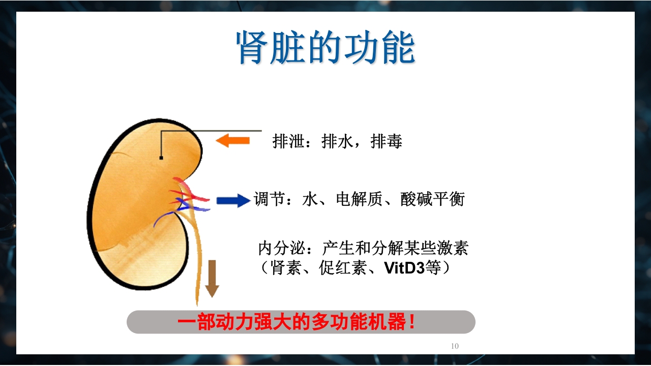 慢性肾衰竭PPT课件10