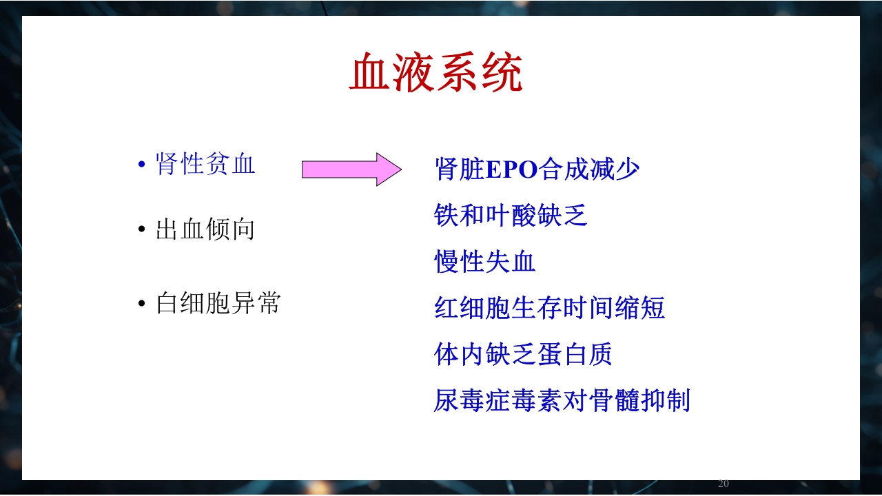 慢性肾衰竭PPT课件20