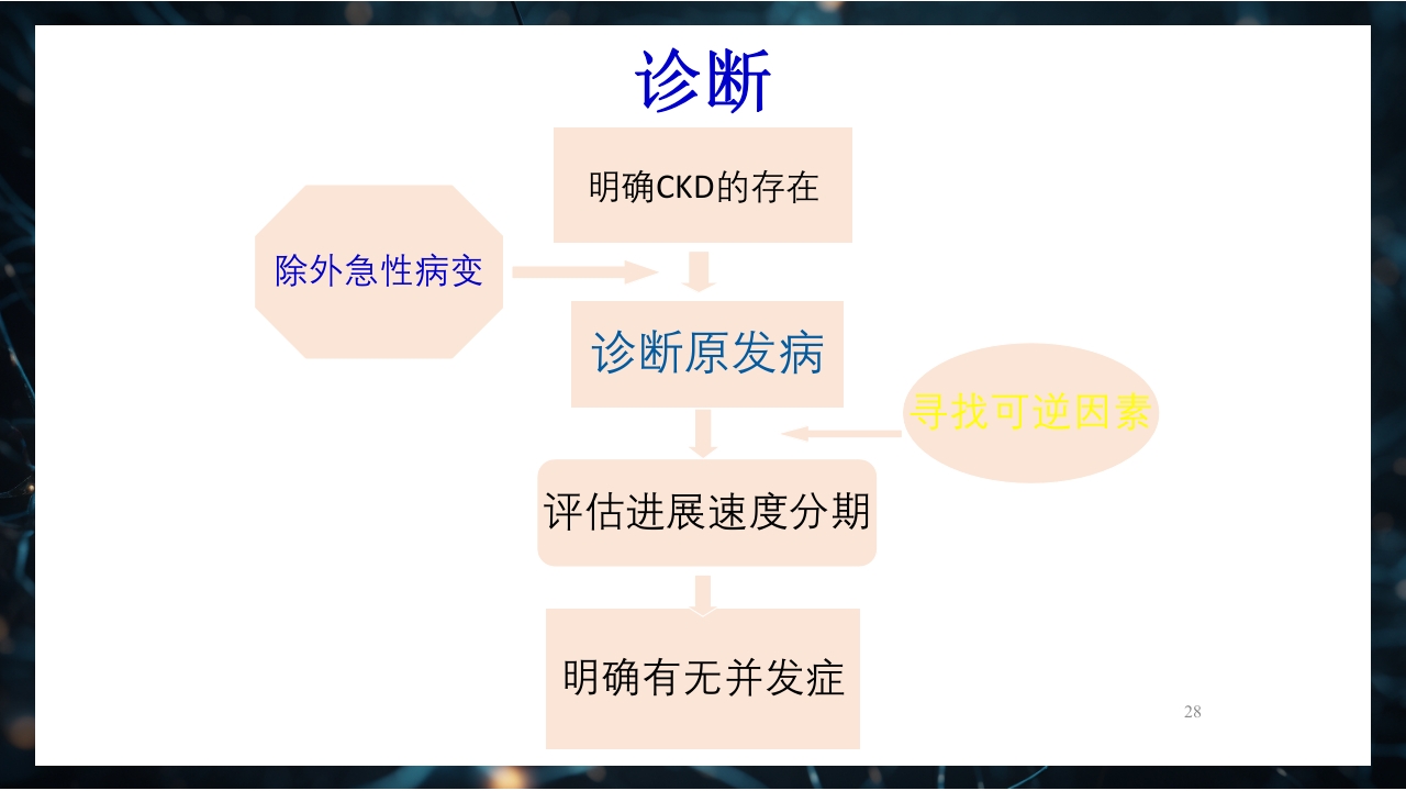 慢性肾衰竭PPT课件28