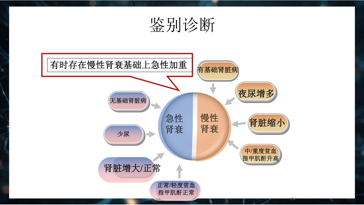慢性肾衰竭PPT课件29