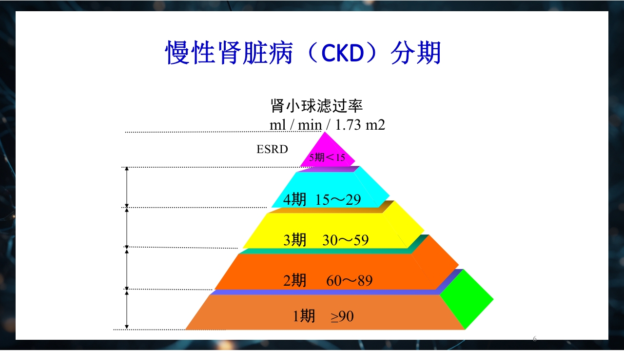 慢性肾衰竭PPT课件6