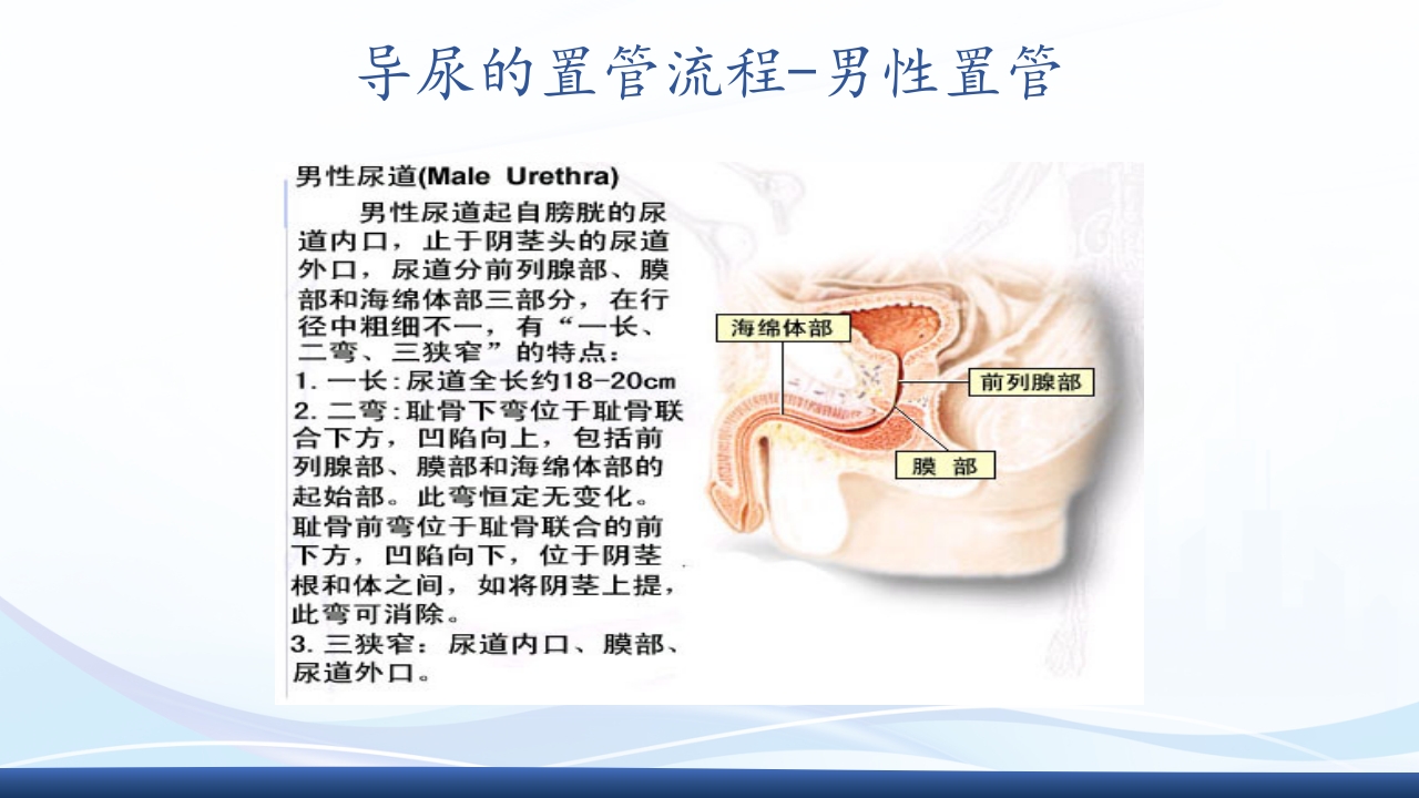 尿管护理PPT课件13