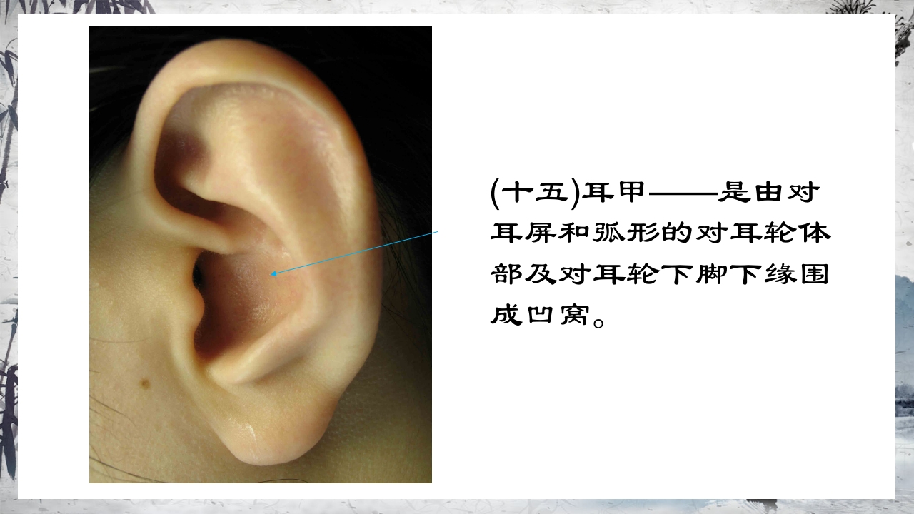 耳穴压豆治疗PPT课件25