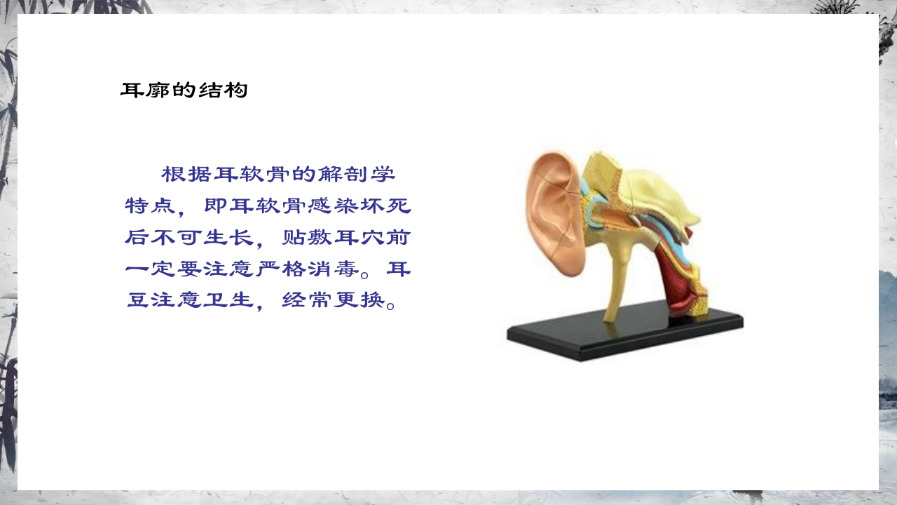 耳穴压豆治疗PPT课件9